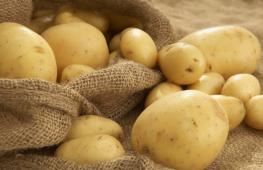 Сушеные картофель и овощи Использование в непродовольственных целях: клей, корм для животных и топливный этанол